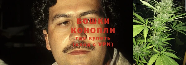 ПСИЛОЦИБИНОВЫЕ ГРИБЫ Балабаново