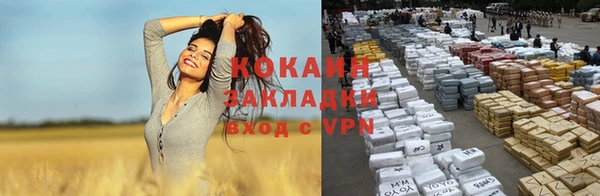ПСИЛОЦИБИНОВЫЕ ГРИБЫ Балабаново