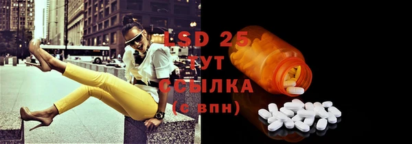 стаф Сясьстрой
