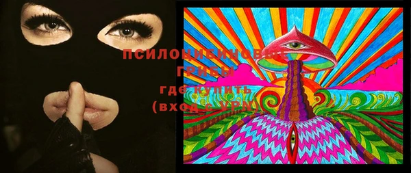 ПСИЛОЦИБИНОВЫЕ ГРИБЫ Балабаново