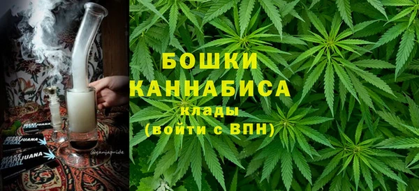 ПСИЛОЦИБИНОВЫЕ ГРИБЫ Балабаново
