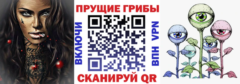 Галлюциногенные грибы Psilocybine cubensis  Лахденпохья 